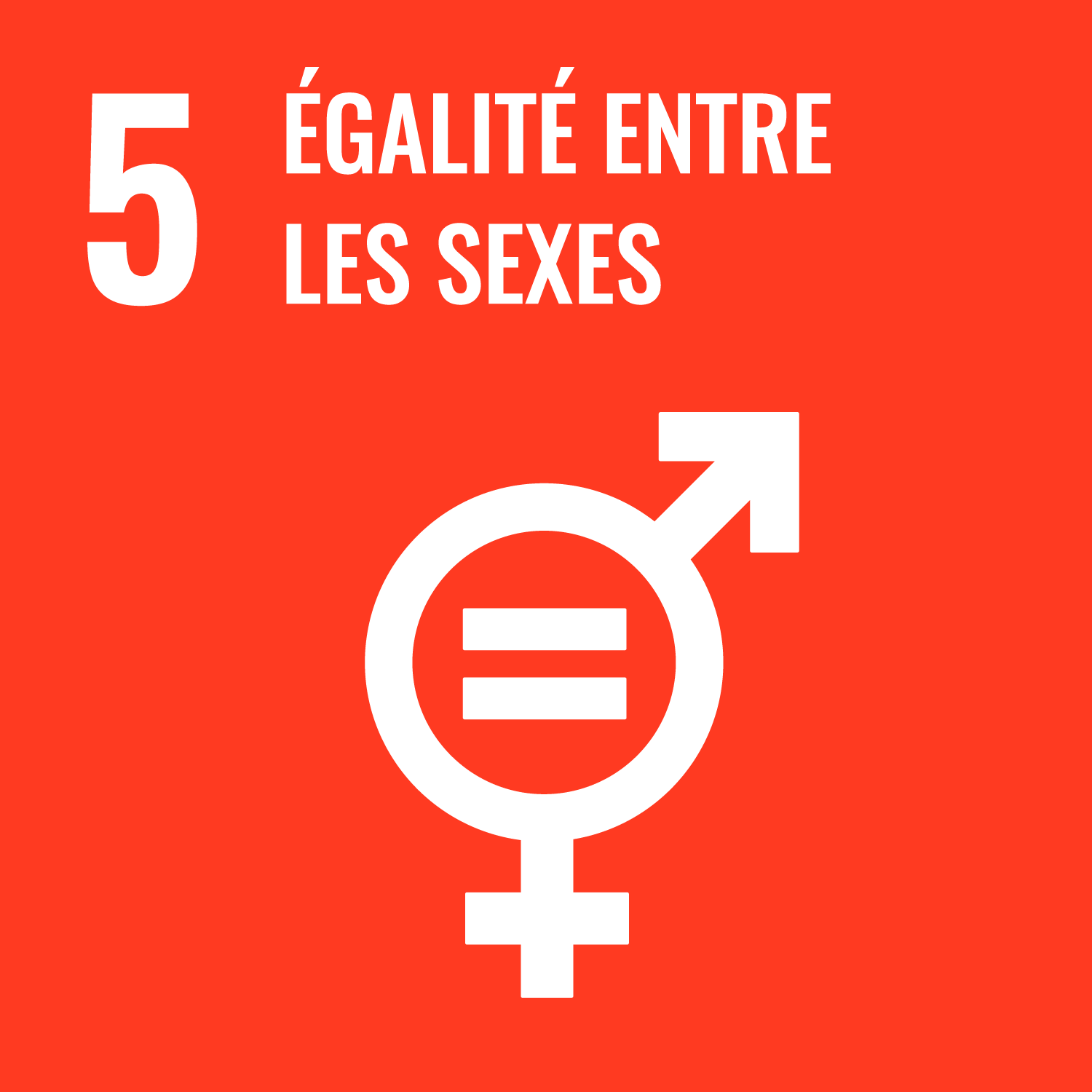 ODD 5- Egalité entre les sexes