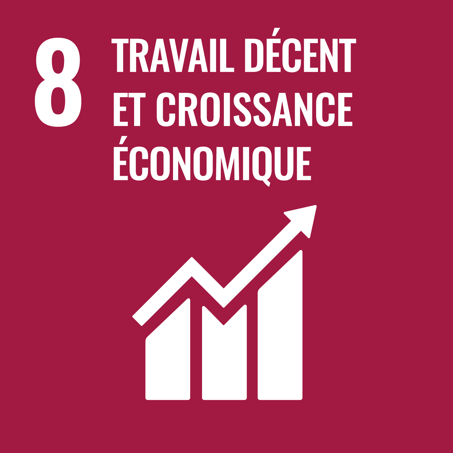 ODD 8- Travail décent et croissance économique
