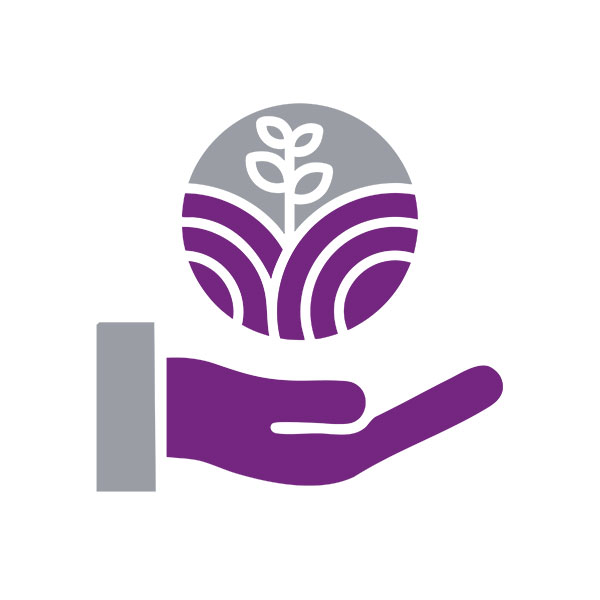 Image : Environnement